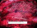 /album/resim-galerisi/b-jpg/